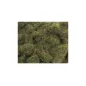 Peco 4mm Autumn Grass All Gauges PSG-403