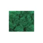Peco 4mm Pasture Grass All Gauges PSG-407