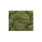 Peco 4mm Summer Grass All Gauges PSG-422