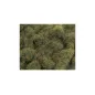 Peco 4mm Autumn Grass All Gauges PSG-423