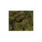 Peco 6mm Autumn Grass All Gauges PSG-603