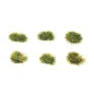 Peco 4mm Self Adhesive Spring Grass Tufts All Gauges PSG-54