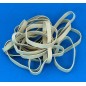 3" White Rubber Wing Bands Width 6mm