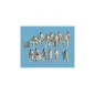 Peco Cricket Team oo Gauge peco5300