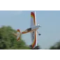 Ripmax Acro Wot Mk2 Foam-E ARTF Ripmax Acro Wot Mk2 Foam-E ARTF