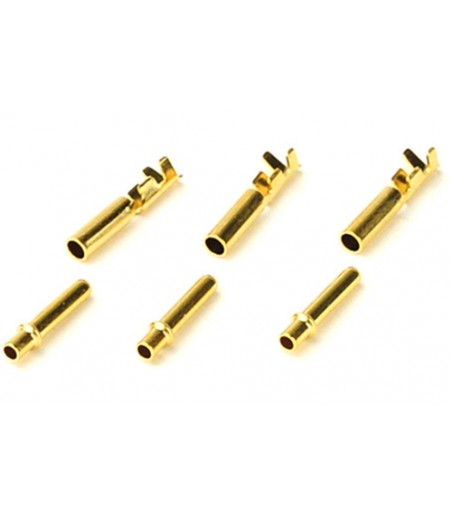 2mm Golden Plug
